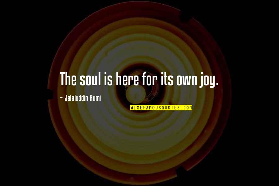 Immunological Tolerance Quotes By Jalaluddin Rumi: The soul is here for its own joy.