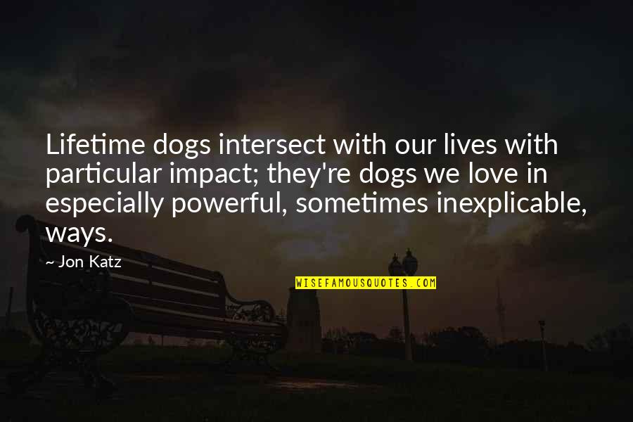 Impact Of Love Quotes By Jon Katz: Lifetime dogs intersect with our lives with particular