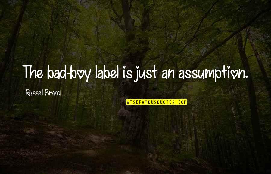 Impacting The Community Quotes By Russell Brand: The bad-boy label is just an assumption. Impacting The Community Quotes By Russell Brand: The bad-boy label is just an assumption.