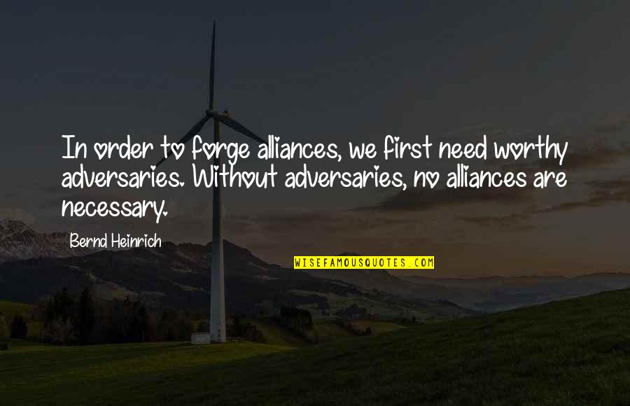 Impares De 3 Quotes By Bernd Heinrich: In order to forge alliances, we first need