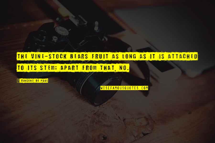 Imparted Quotes By Vincent De Paul: The vine-stock bears fruit as long as it