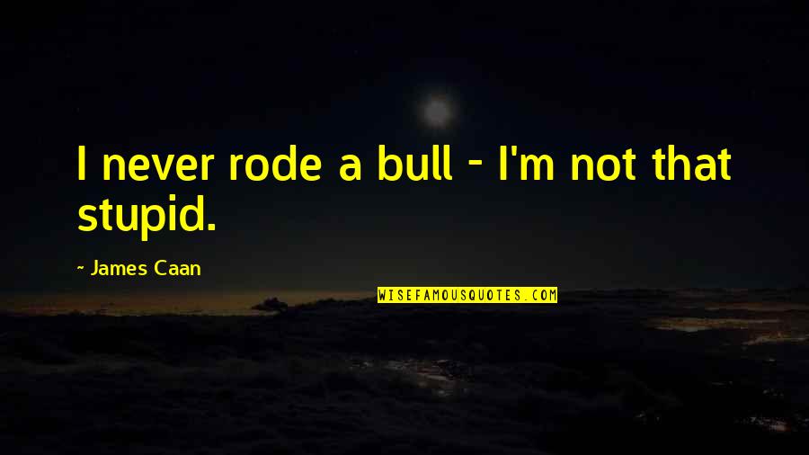 Impassibility Book Quotes By James Caan: I never rode a bull - I'm not