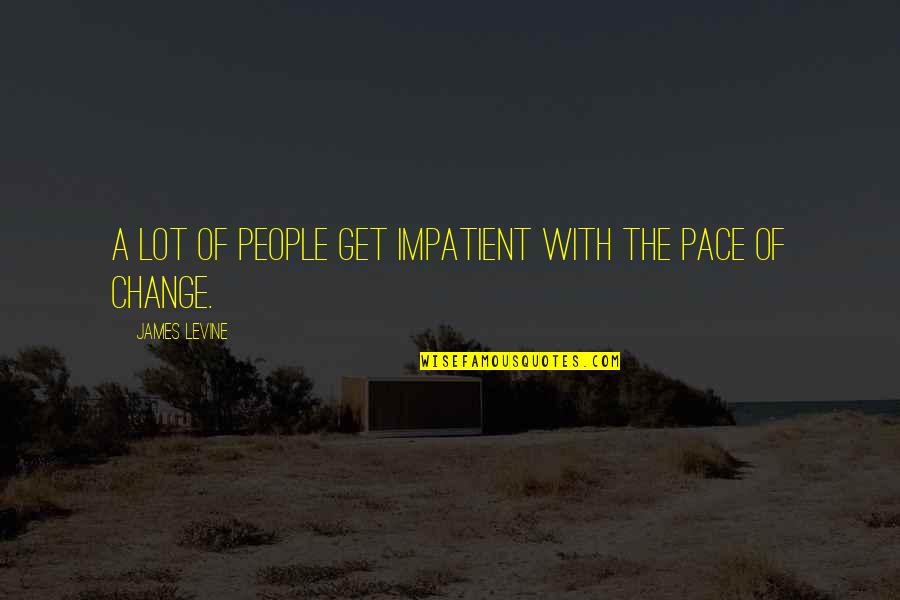 Impatient People Quotes By James Levine: A lot of people get impatient with the