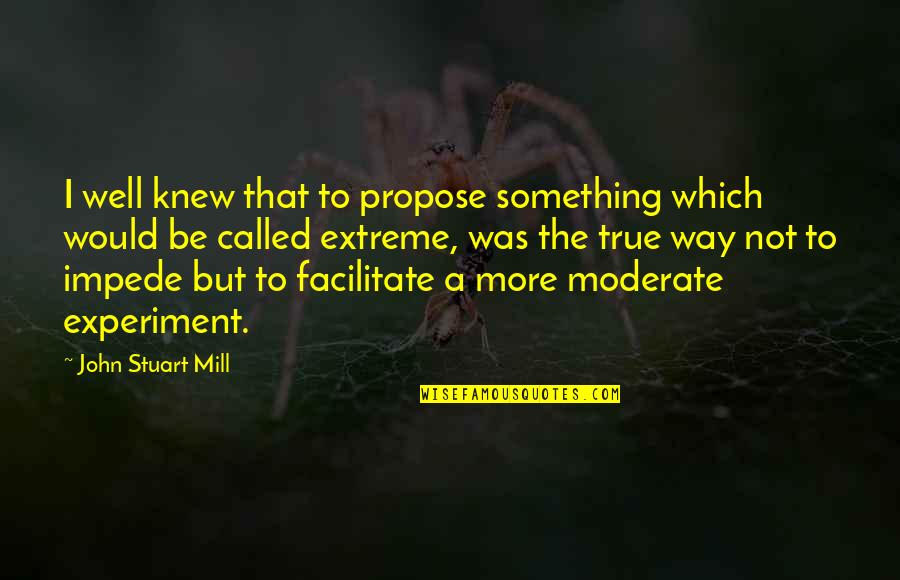 Impede Quotes By John Stuart Mill: I well knew that to propose something which