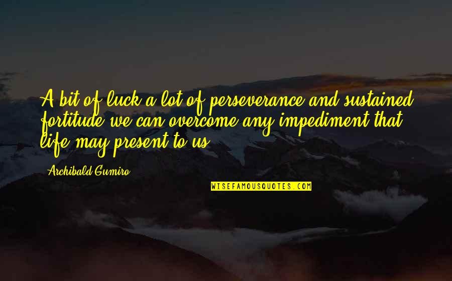 Impediment Quotes By Archibald Gumiro: A bit of luck a lot of perseverance