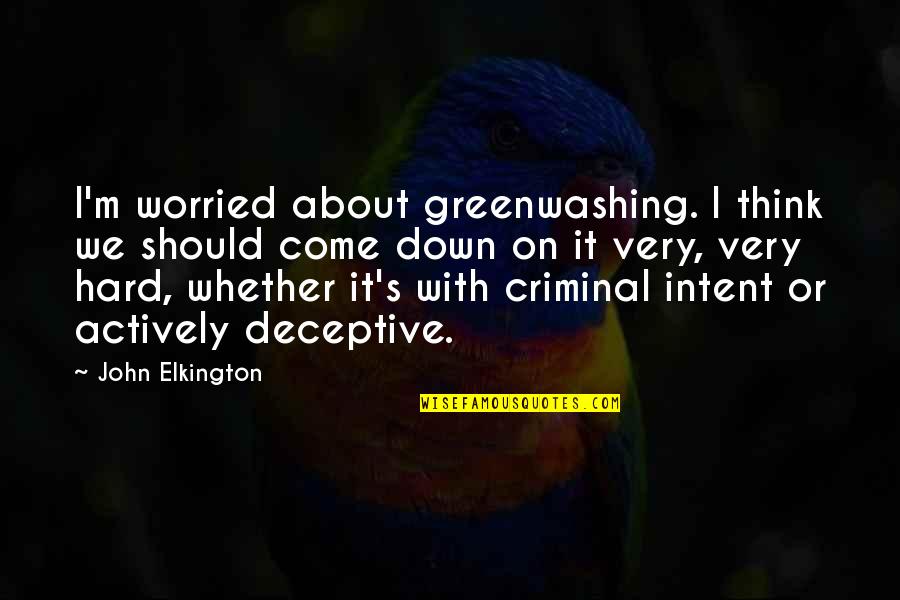 Impedimentos Auditivos Quotes By John Elkington: I'm worried about greenwashing. I think we should