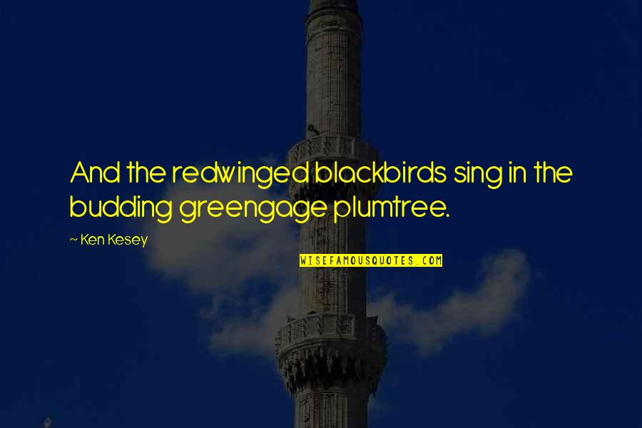 Impegnate Quotes By Ken Kesey: And the redwinged blackbirds sing in the budding