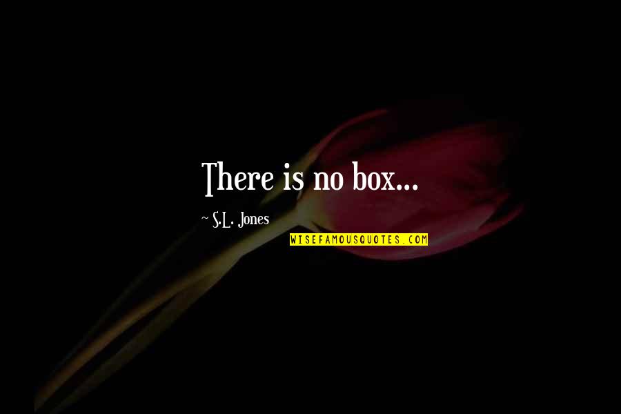 Imperceptibility Superpower Quotes By S.L. Jones: There is no box...