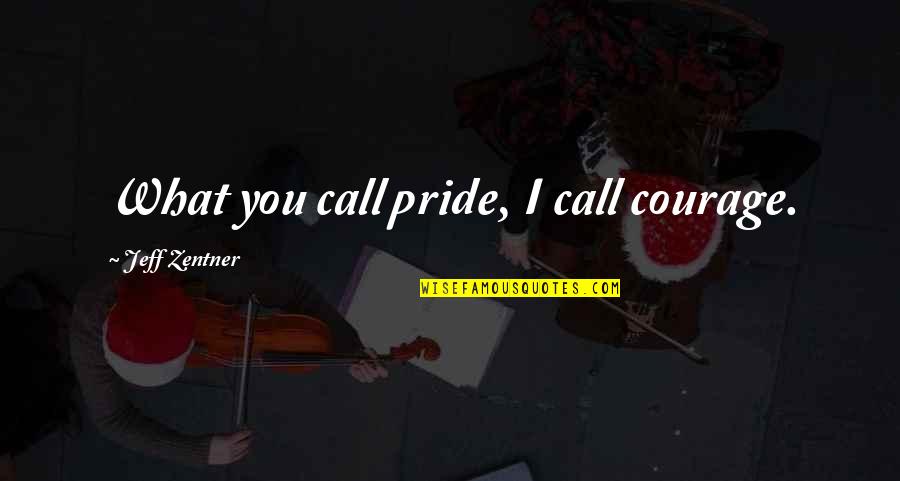 Imperfection And Flaws Quotes By Jeff Zentner: What you call pride, I call courage.