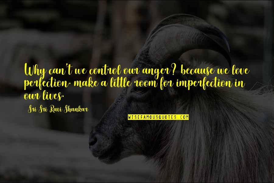 Imperfection And You Quotes By Sri Sri Ravi Shankar: Why can't we control our anger? because we