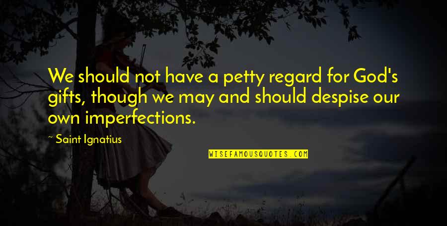 Imperfections Quotes By Saint Ignatius: We should not have a petty regard for