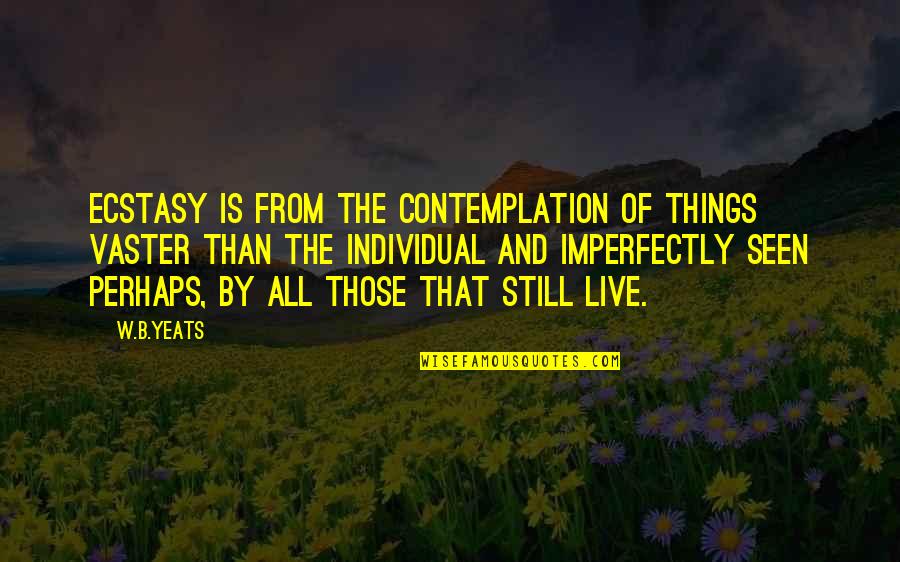 Imperfectly Quotes By W.B.Yeats: Ecstasy is from the contemplation of things vaster Imperfectly Quotes By W.B.Yeats: Ecstasy is from the contemplation of things vaster