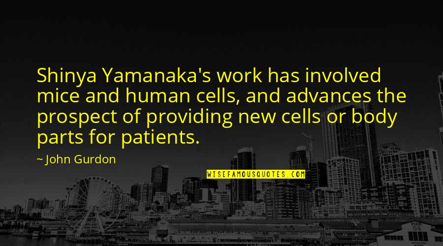 Imperialisme Modern Quotes By John Gurdon: Shinya Yamanaka's work has involved mice and human