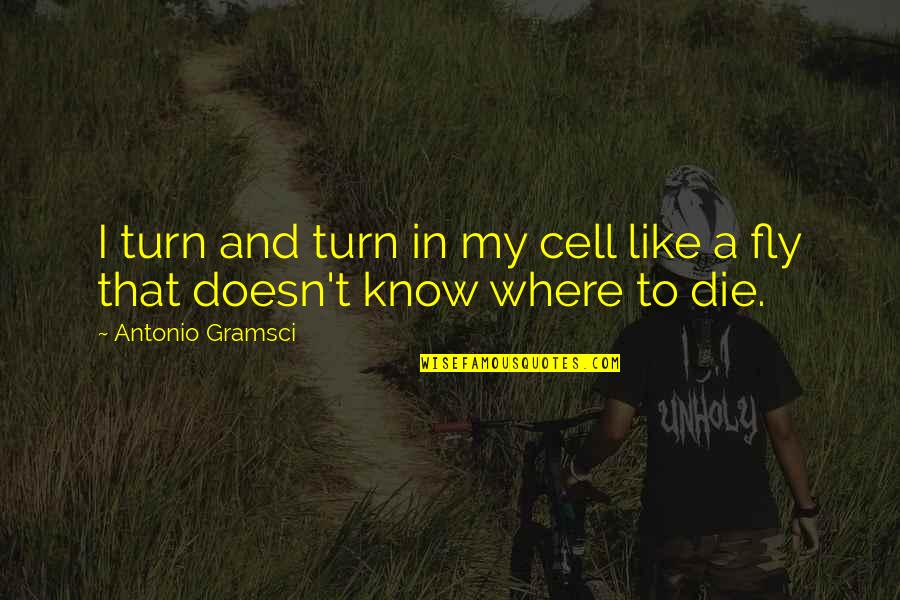 Imperialismo Definicion Quotes By Antonio Gramsci: I turn and turn in my cell like Imperialismo Definicion Quotes By Antonio Gramsci: I turn and turn in my cell like