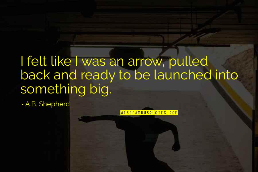 Imperilling Quotes By A.B. Shepherd: I felt like I was an arrow, pulled