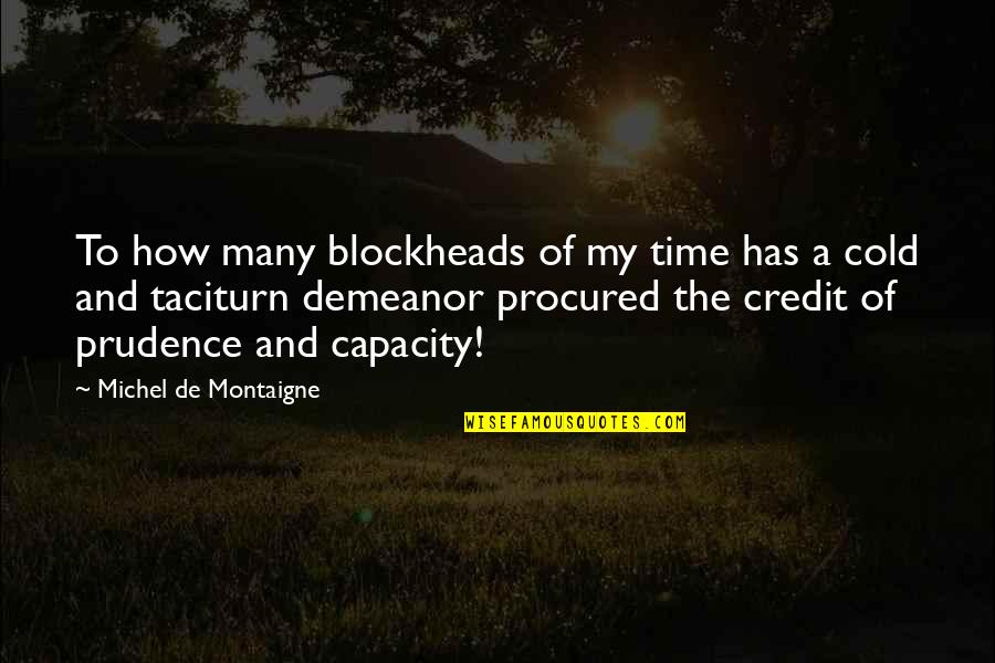 Impermanence Of Life Quotes By Michel De Montaigne: To how many blockheads of my time has