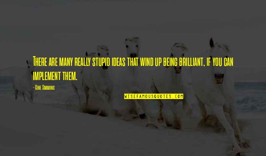 Implement Ideas Quotes By Gene Simmons: There are many really stupid ideas that wind