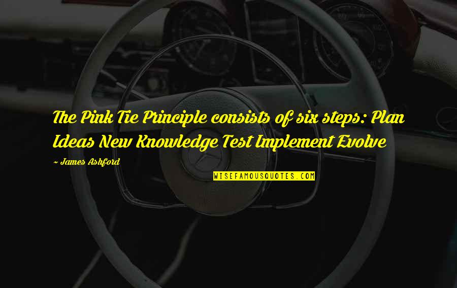 Implement Ideas Quotes By James Ashford: The Pink Tie Principle consists of six steps: