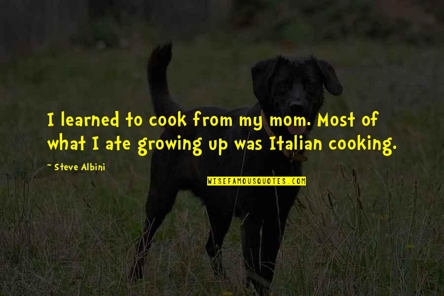 Implementations Manager Quotes By Steve Albini: I learned to cook from my mom. Most