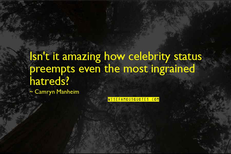 Imporantly Quotes By Camryn Manheim: Isn't it amazing how celebrity status preempts even