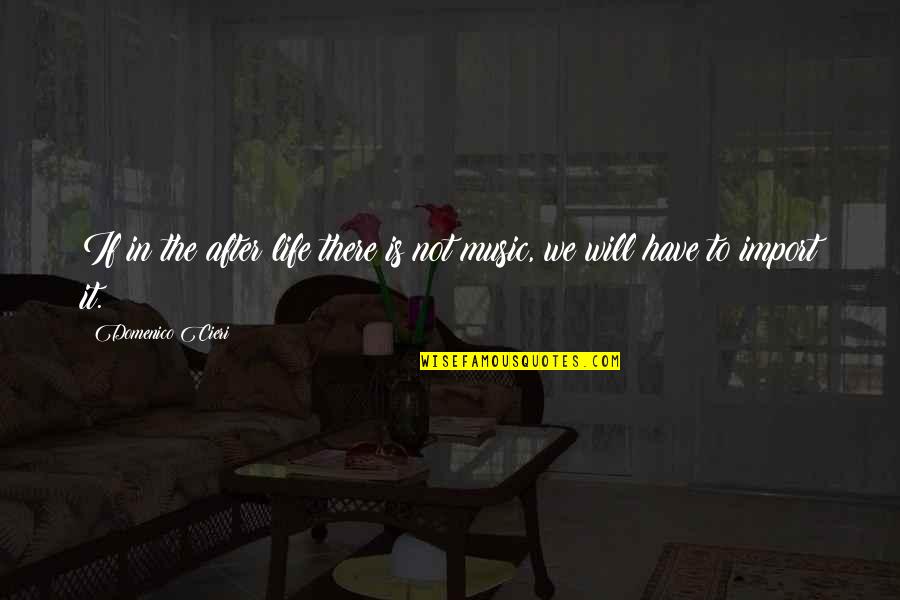 Import Life Quotes By Domenico Cieri: If in the after life there is not
