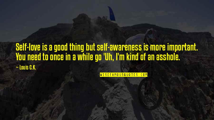 Importance Love Life Quotes By Louis C.K.: Self-love is a good thing but self-awareness is
