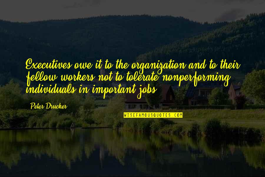 Importance Of Envelope Quotes By Peter Drucker: Executives owe it to the organization and to Importance Of Envelope Quotes By Peter Drucker: Executives owe it to the organization and to