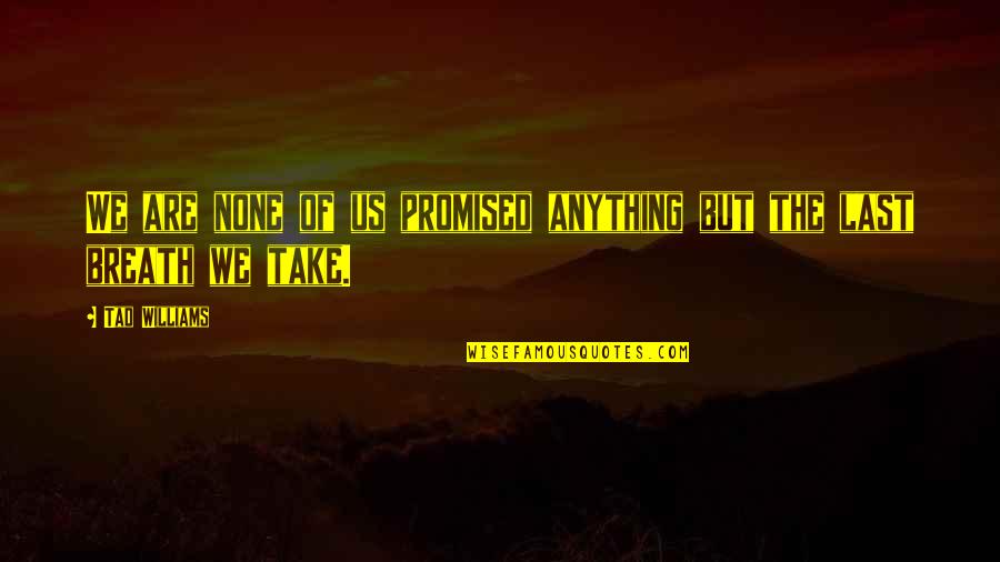 Importance Of Good Leadership Quotes By Tad Williams: We are none of us promised anything but