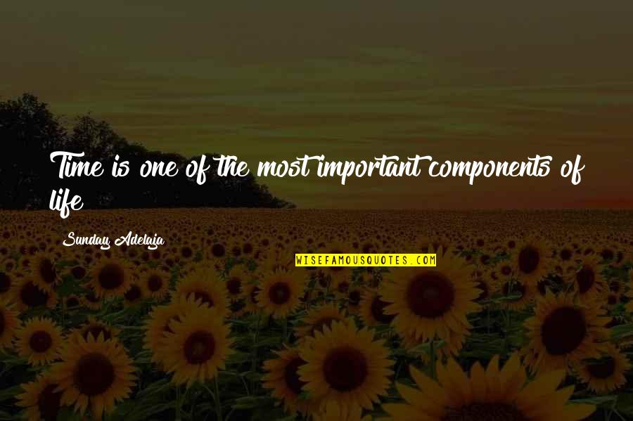 Importance Of Job Quotes By Sunday Adelaja: Time is one of the most important components