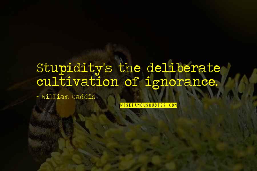 Importance Of Meetings Quotes By William Gaddis: Stupidity's the deliberate cultivation of ignorance.