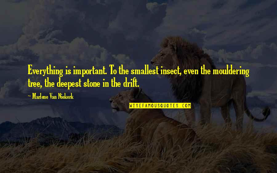 Importance Of Nature Quotes By Marlene Van Niekerk: Everything is important. To the smallest insect, even