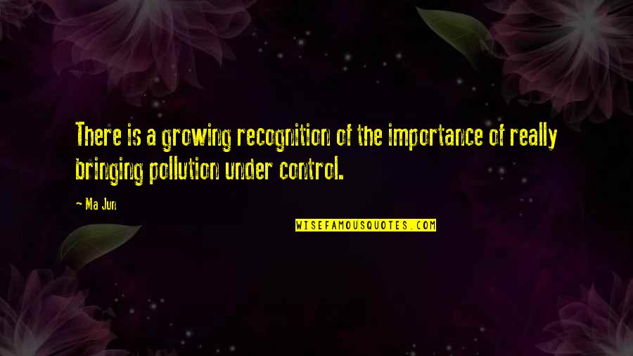 Importance Of Recognition Quotes By Ma Jun: There is a growing recognition of the importance