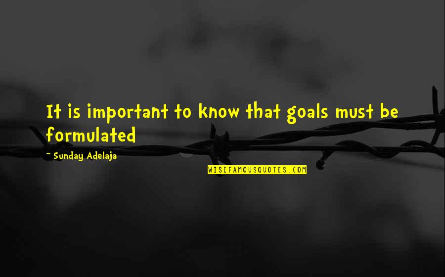Importance Quotes By Sunday Adelaja: It is important to know that goals must