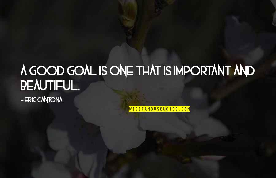 Important Beautiful Quotes By Eric Cantona: A good goal is one that is important Important Beautiful Quotes By Eric Cantona: A good goal is one that is important