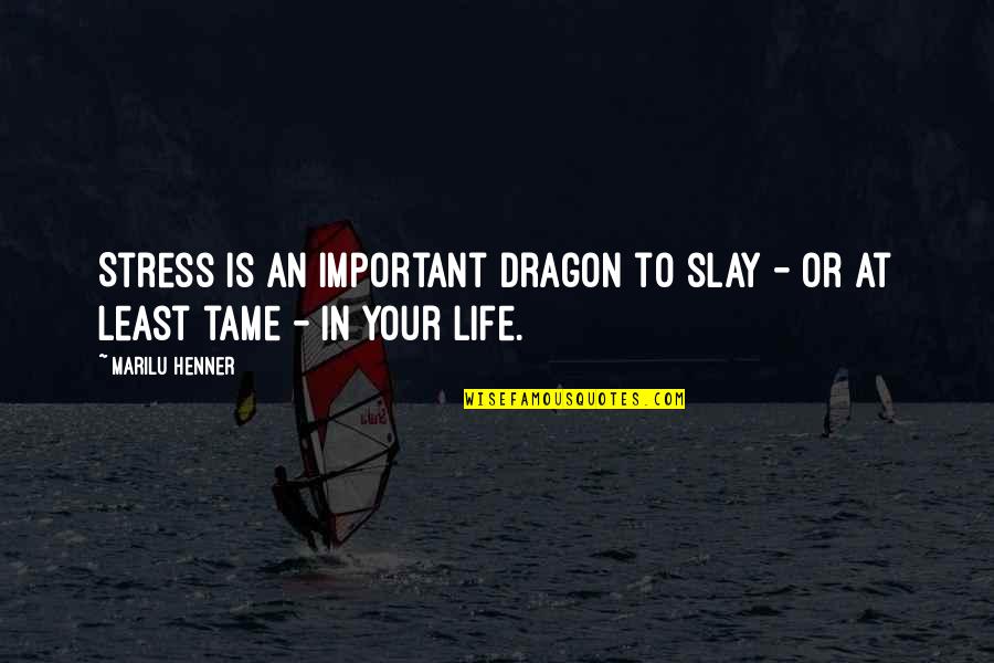 Important In Your Life Quotes By Marilu Henner: Stress is an important dragon to slay -