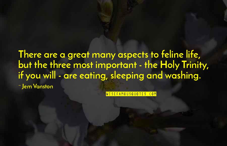Important Jem Quotes By Jem Vanston: There are a great many aspects to feline
