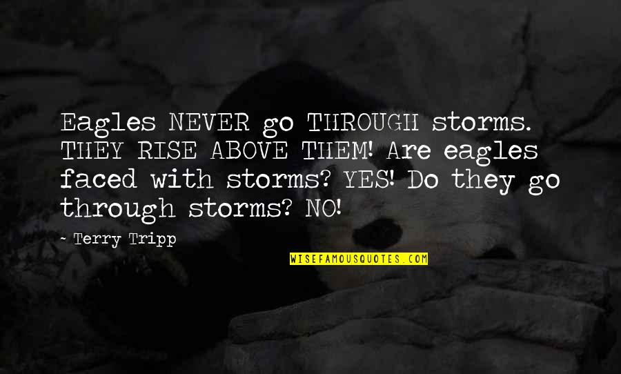 Important Lord Capulet Quotes By Terry Tripp: Eagles NEVER go THROUGH storms. THEY RISE ABOVE
