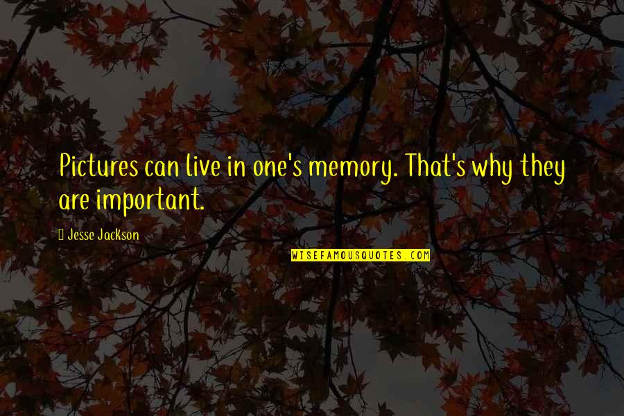 Important Memories Quotes By Jesse Jackson: Pictures can live in one's memory. That's why