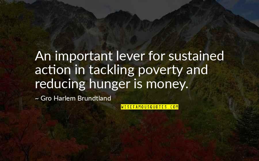 Important Money Quotes By Gro Harlem Brundtland: An important lever for sustained action in tackling