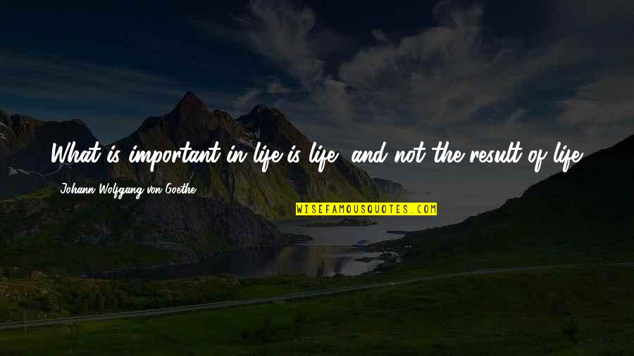 Important Of Life Quotes By Johann Wolfgang Von Goethe: What is important in life is life, and