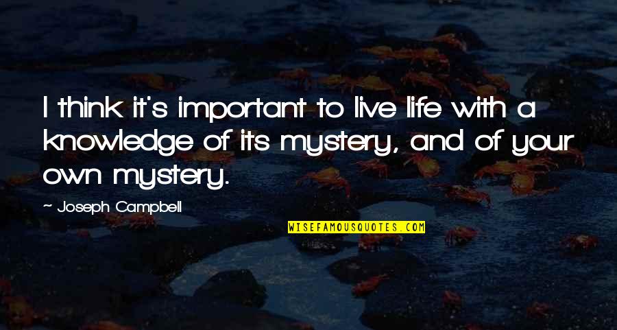 Important Of Life Quotes By Joseph Campbell: I think it's important to live life with