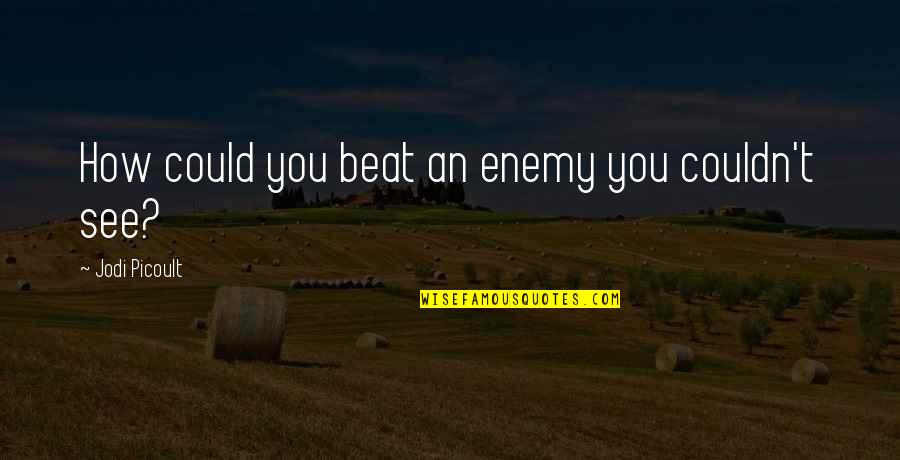 Important People In Your Life Quote Quotes By Jodi Picoult: How could you beat an enemy you couldn't Important People In Your Life Quote Quotes By Jodi Picoult: How could you beat an enemy you couldn't