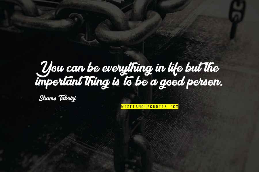 Important Person In My Life Quotes By Shams Tabrizi: You can be everything in life but the