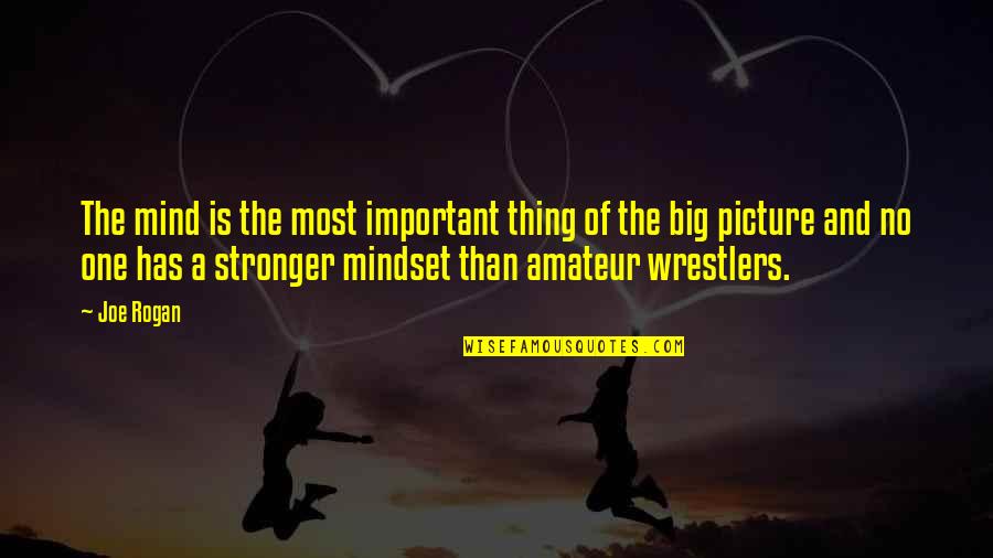 Important Picture Quotes By Joe Rogan: The mind is the most important thing of Important Picture Quotes By Joe Rogan: The mind is the most important thing of