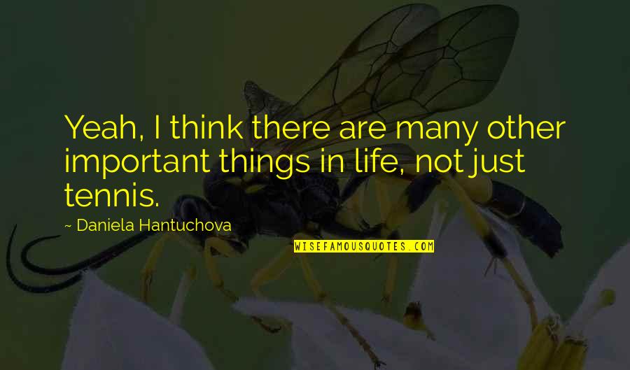 Important Things In Life Quotes By Daniela Hantuchova: Yeah, I think there are many other important