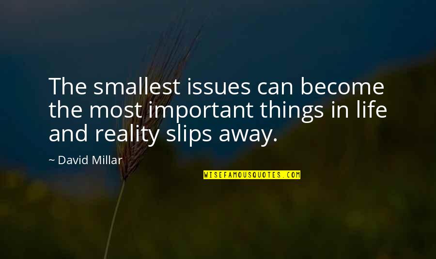 Important Things In Life Quotes By David Millar: The smallest issues can become the most important