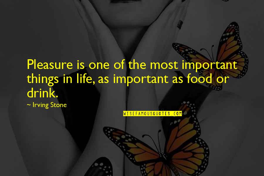 Important Things In Life Quotes By Irving Stone: Pleasure is one of the most important things