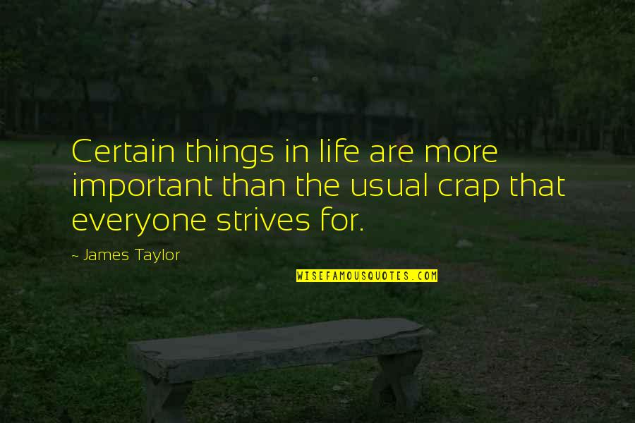 Important Things In Life Quotes By James Taylor: Certain things in life are more important than