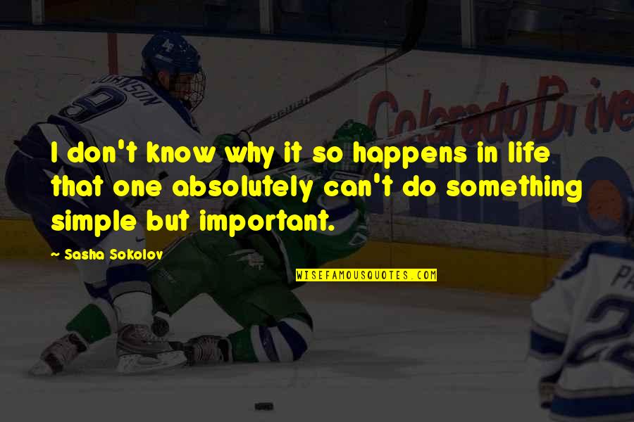 Important Things In Life Quotes By Sasha Sokolov: I don't know why it so happens in