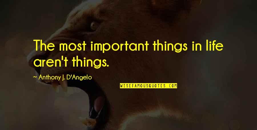 Important Things In Your Life Quotes By Anthony J. D'Angelo: The most important things in life aren't things.